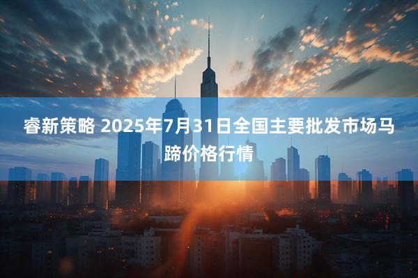 睿新策略 2025年7月31日全国主要批发市场马蹄价格行情