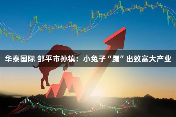 华泰国际 邹平市孙镇：小兔子“蹦”出致富大产业