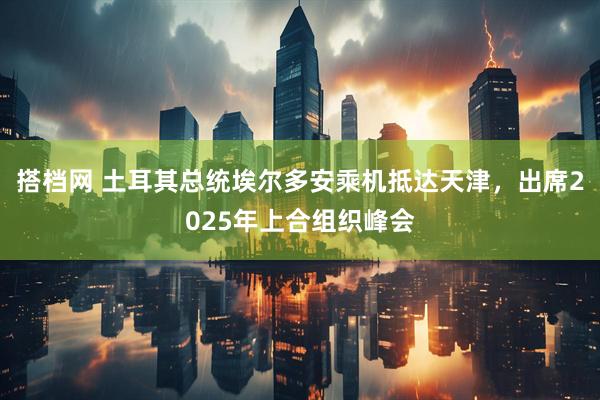 搭档网 土耳其总统埃尔多安乘机抵达天津，出席2025年上合组织峰会