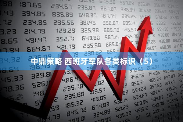 中鼎策略 西班牙军队各类标识（5）