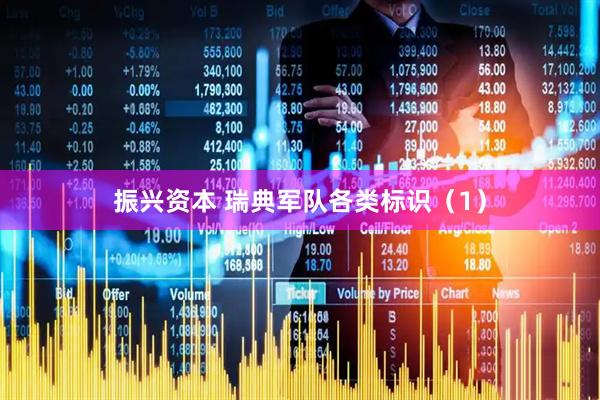 振兴资本 瑞典军队各类标识（1）
