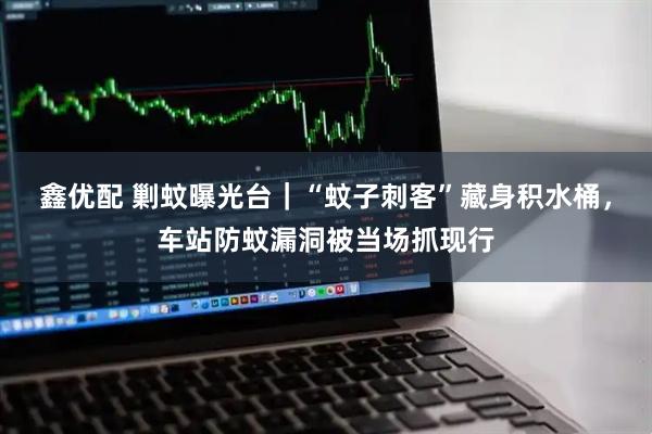 鑫优配 剿蚊曝光台|“蚊子刺客”藏身积水桶,车站防蚊漏洞被当场抓现行
