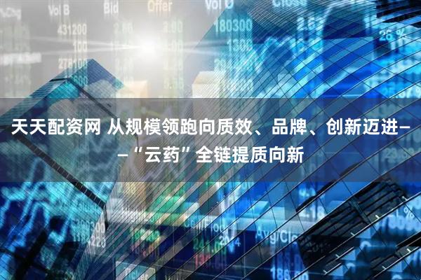 天天配资网 从规模领跑向质效、品牌、创新迈进——“云药”全链提质向新